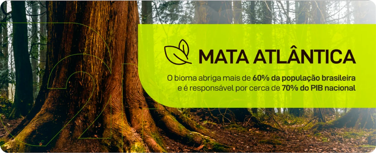 Mata Atlântica